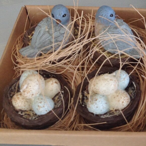 4 Decorative Garden Themed Plates with Mini Nest Candles - Picture 4 of 6